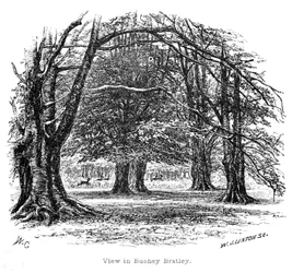 Ansicht in Bushey Bratley